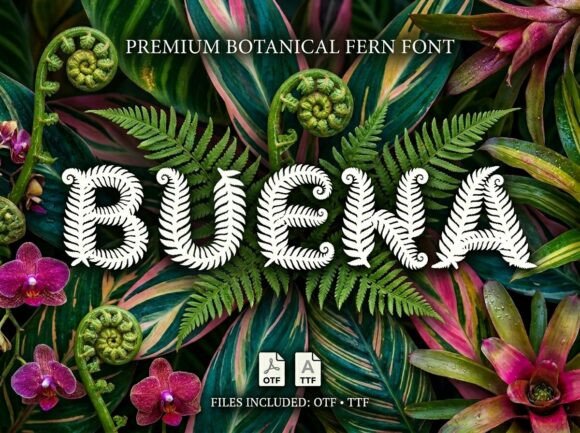 Buena Display Font for Small Business Branding