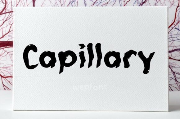 Capillary: A Handwritten Display Font That Elevates Digital Branding