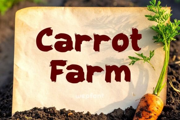 Carrot Farm: A Display Font That Grows With Your Editorial Voice